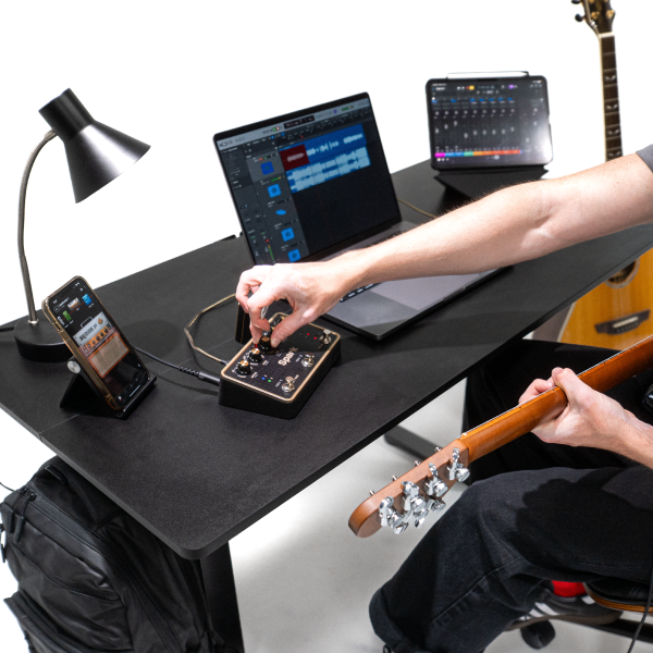 The Studio
